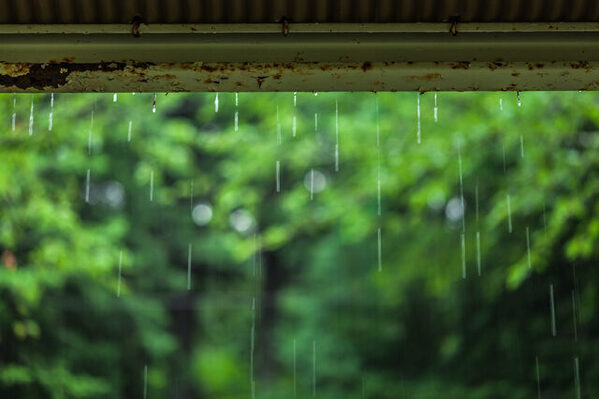 自閉症児の幼稚園生活って？ お片付けの時間、動けないでいると……先生がかけてくれた言葉にほっとする