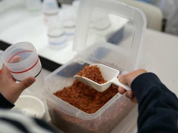 【オリジナルふりかけも作れちゃう】「ゆかり」でおなじみの食品工場、親子見学ツアーが超楽しい♡