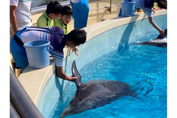 【参加無料】パティシエやバス運転士など、計54クラスのお仕事体験ができる！「にしてつキッズしごと体験スクール2025」が開催