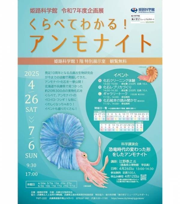 【観覧料無料】アンモナイト化石300点を一挙公開！ 姫路科学館で「くらべてわかる!アンモナイト」開催