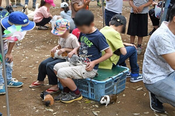 【中学生以下無料】GWになつかしの遊びや体験を楽しめる！江戸東京たてもの園で「こどもの日イベント」を開催