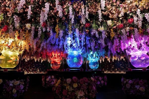 【子ども入場無料！】アートアクアリウム美術館 GINZA！大好評“金魚ガイド”をプレゼント