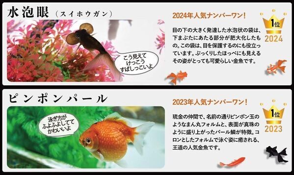 【子ども入場無料！】アートアクアリウム美術館 GINZA！大好評“金魚ガイド”をプレゼント