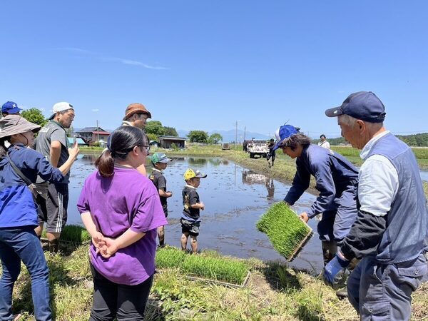 【コメ不足の今だからこそ体験してほしい!!】お米農家とコラボした「親子でお米の田植え体験イベント」