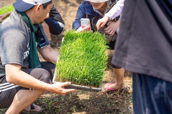 【コメ不足の今だからこそ体験してほしい!!】お米農家とコラボした「親子でお米の田植え体験イベント」