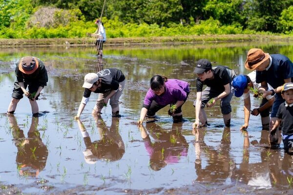 【コメ不足の今だからこそ体験してほしい!!】お米農家とコラボした「親子でお米の田植え体験イベント」