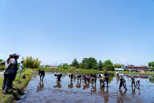 【コメ不足の今だからこそ体験してほしい!!】お米農家とコラボした「親子でお米の田植え体験イベント」