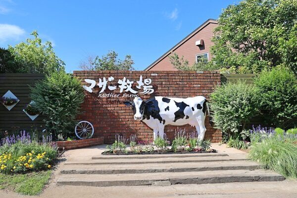 【合言葉を伝えると】ソフトクリームが“無料”で貰える！「ママ＆パパ感謝ウィーク」開催中【マザー牧場】