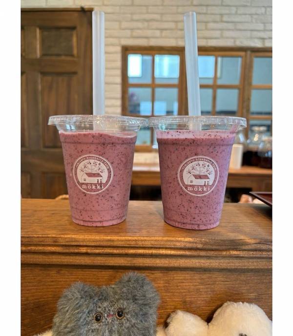 【もうすぐシーズン！ブルーベリー】摘みたての大粒果実を味わい、焼きたてのスイーツを楽しむ！“体験型ブルーベリー農園”