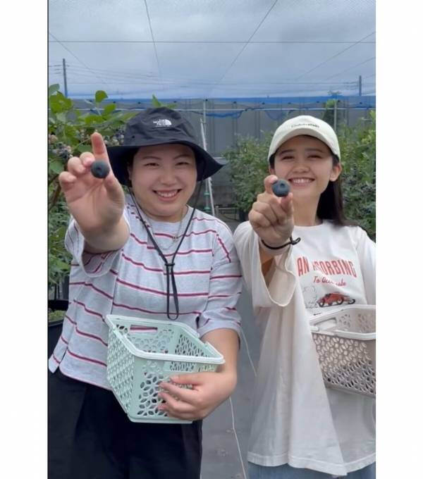 【もうすぐシーズン！ブルーベリー】摘みたての大粒果実を味わい、焼きたてのスイーツを楽しむ！“体験型ブルーベリー農園”