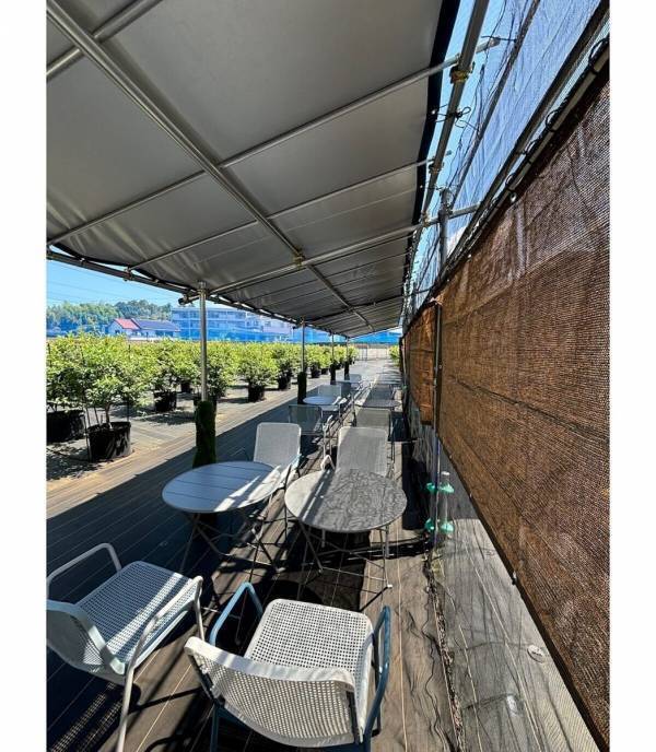 【もうすぐシーズン！ブルーベリー】摘みたての大粒果実を味わい、焼きたてのスイーツを楽しむ！“体験型ブルーベリー農園”