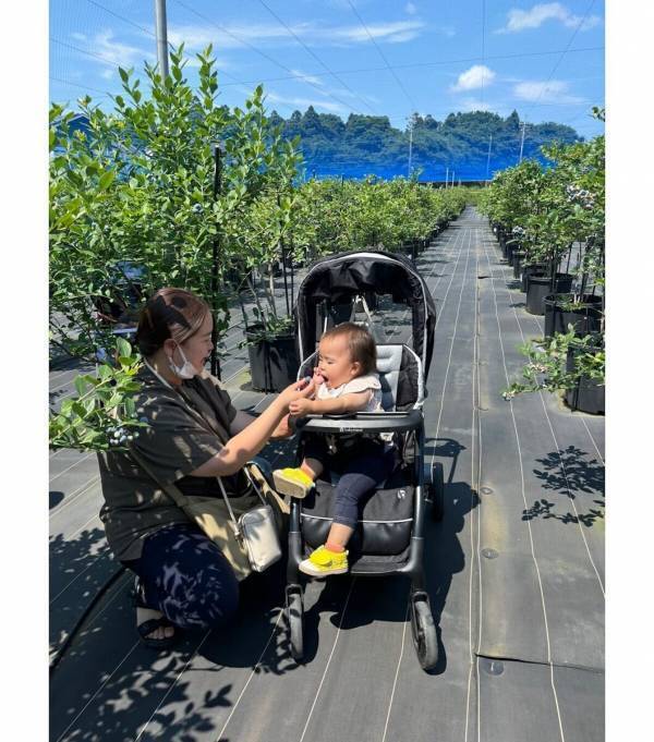 【もうすぐシーズン！ブルーベリー】摘みたての大粒果実を味わい、焼きたてのスイーツを楽しむ！“体験型ブルーベリー農園”