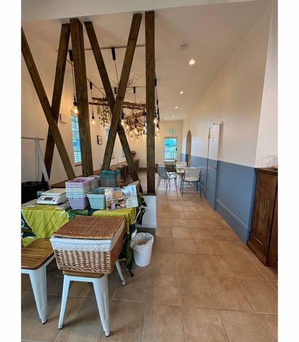 【もうすぐシーズン！ブルーベリー】摘みたての大粒果実を味わい、焼きたてのスイーツを楽しむ！“体験型ブルーベリー農園”