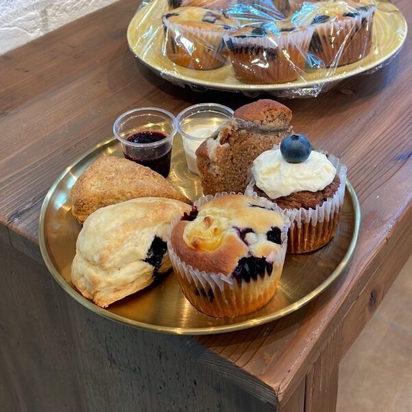 【もうすぐシーズン！ブルーベリー】摘みたての大粒果実を味わい、焼きたてのスイーツを楽しむ！“体験型ブルーベリー農園”