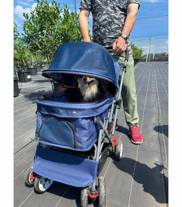 【もうすぐシーズン！ブルーベリー】摘みたての大粒果実を味わい、焼きたてのスイーツを楽しむ！“体験型ブルーベリー農園”