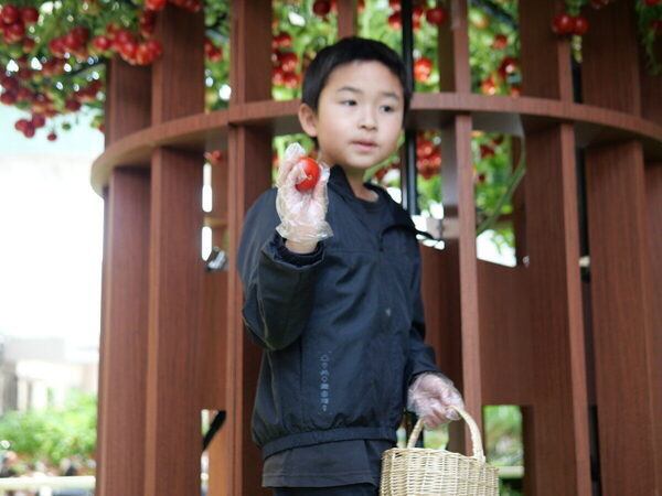 【SNS映えもバッチリ】まるで絵本の世界♡【カゴメ】の無料イベントで不思議なまなび体験（東京・世田谷区）