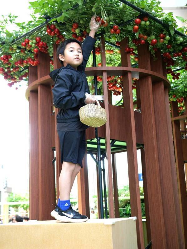 【SNS映えもバッチリ】まるで絵本の世界♡【カゴメ】の無料イベントで不思議なまなび体験（東京・世田谷区）