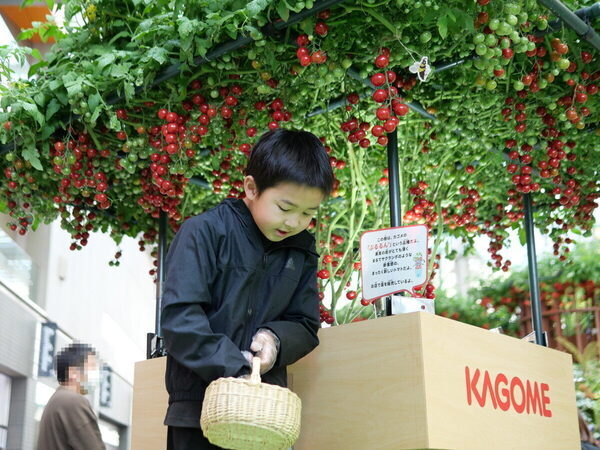 【SNS映えもバッチリ】まるで絵本の世界♡【カゴメ】の無料イベントで不思議なまなび体験（東京・世田谷区）