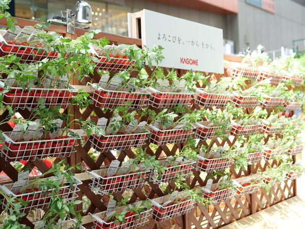 【SNS映えもバッチリ】まるで絵本の世界♡【カゴメ】の無料イベントで不思議なまなび体験（東京・世田谷区）