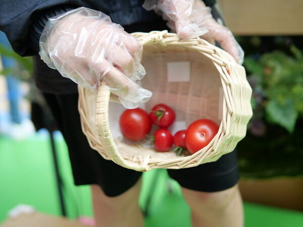 【SNS映えもバッチリ】まるで絵本の世界♡【カゴメ】の無料イベントで不思議なまなび体験（東京・世田谷区）