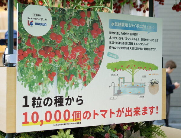 【SNS映えもバッチリ】まるで絵本の世界♡【カゴメ】の無料イベントで不思議なまなび体験（東京・世田谷区）