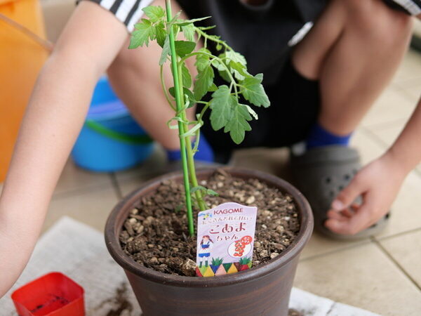 【SNS映えもバッチリ】まるで絵本の世界♡【カゴメ】の無料イベントで不思議なまなび体験（東京・世田谷区）