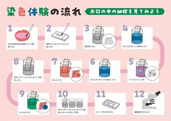 絶対楽しいー【細胞アート展】新宿で開催！細胞を“アート”で捉え、細胞診を楽しく学べる細胞診体験ワークショップ