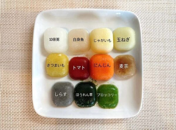 西野未姫さん、0歳長女の離乳食で気になる食物アレルギー「私は気持ち的にもすごく安心できました！​」