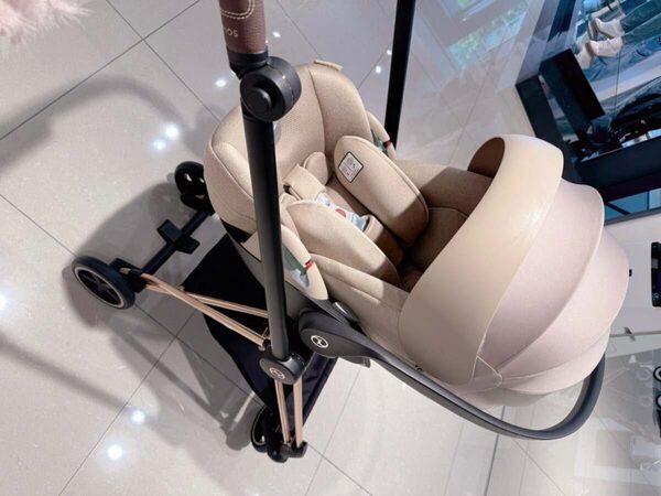 第五子妊娠・辻希美さんが選んだ高級ベビーカー「いろいろ進化していて、迷いに迷った」18年ぶりの女の子