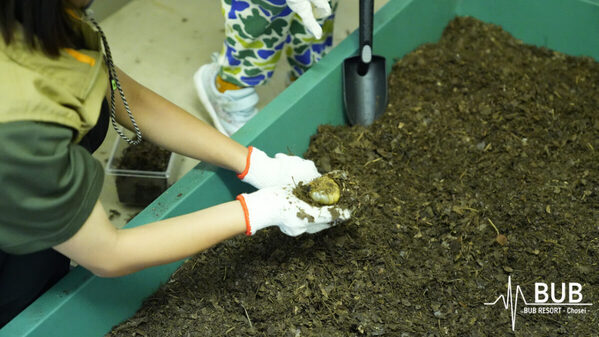 【6月限定】千葉県民は宿泊最大30%OFF！体験型オールインクルーシブリゾート「BUB RESORT」をお得に楽しもう！