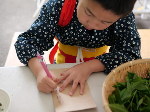 香りも味もたまらん～！親子で参加したお茶摘み体験を五感ぜんぶで味わい尽くした件