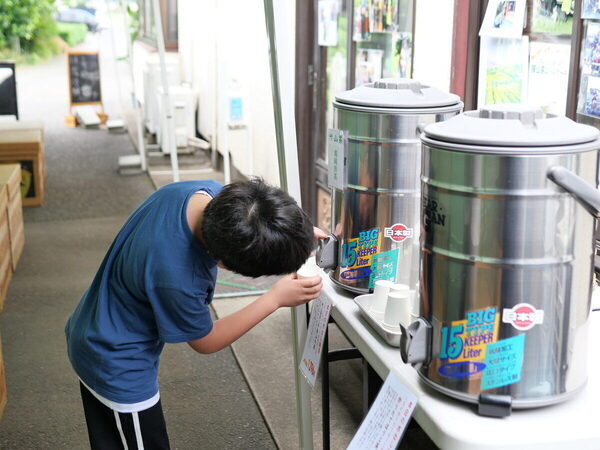 香りも味もたまらん～！親子で参加したお茶摘み体験を五感ぜんぶで味わい尽くした件