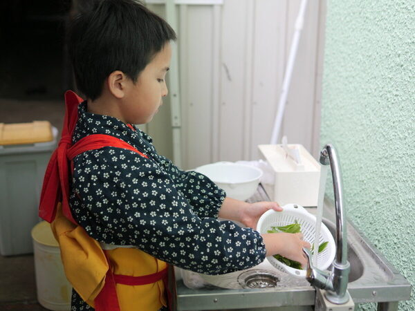 香りも味もたまらん～！親子で参加したお茶摘み体験を五感ぜんぶで味わい尽くした件