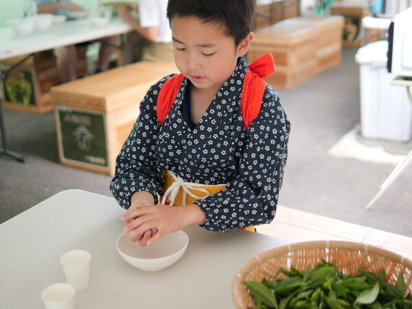 香りも味もたまらん～！親子で参加したお茶摘み体験を五感ぜんぶで味わい尽くした件