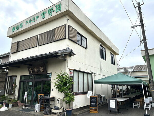 香りも味もたまらん～！親子で参加したお茶摘み体験を五感ぜんぶで味わい尽くした件