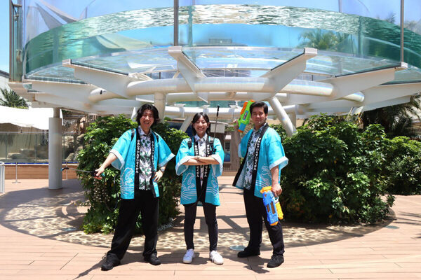 アシカと一緒にびちょ濡れになっちゃう!?　サンシャイン水族館で「爽快夏まつり2025」