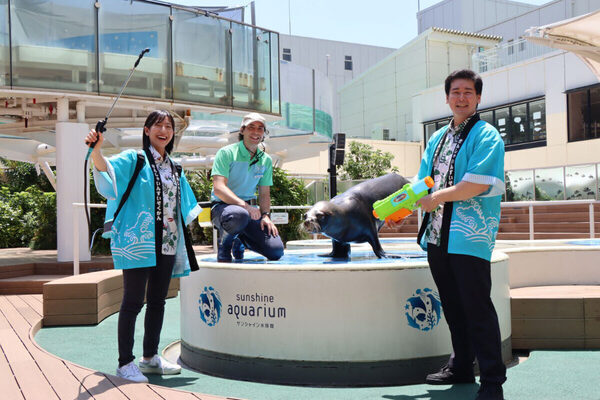アシカと一緒にびちょ濡れになっちゃう!?　サンシャイン水族館で「爽快夏まつり2025」