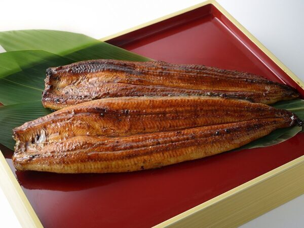 キター！国産うなぎ長蒲焼きや白焼き、肝串……【店舗限定】土用の丑の日焼きたて販売！