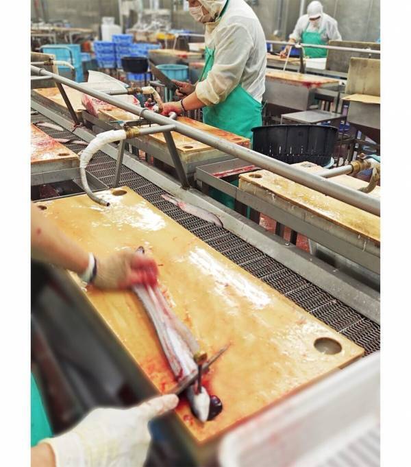 キター！国産うなぎ長蒲焼きや白焼き、肝串……【店舗限定】土用の丑の日焼きたて販売！