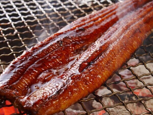 キター！国産うなぎ長蒲焼きや白焼き、肝串……【店舗限定】土用の丑の日焼きたて販売！