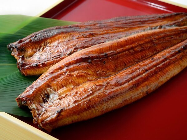 キター！国産うなぎ長蒲焼きや白焼き、肝串……【店舗限定】土用の丑の日焼きたて販売！