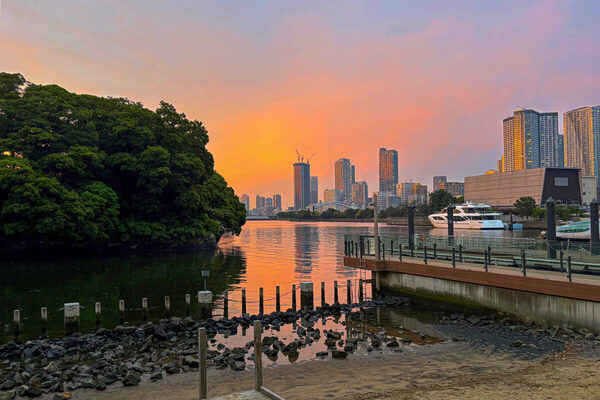 【自由研究を親子の思い出に】ラグジュアリーホテルで干潟と食を学ぶディナー付きワークショップ