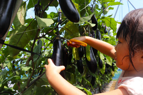 35度以上で入園無料！ ガリガリ君プレゼントも。遊園地むさしの村の「埼玉暑すぎる割」が超お得