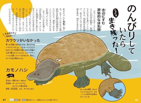 『99%が運⁉ 絶滅しなかった生きもののヒミツ』生存戦略をイラストとマンガで楽しく学べる！