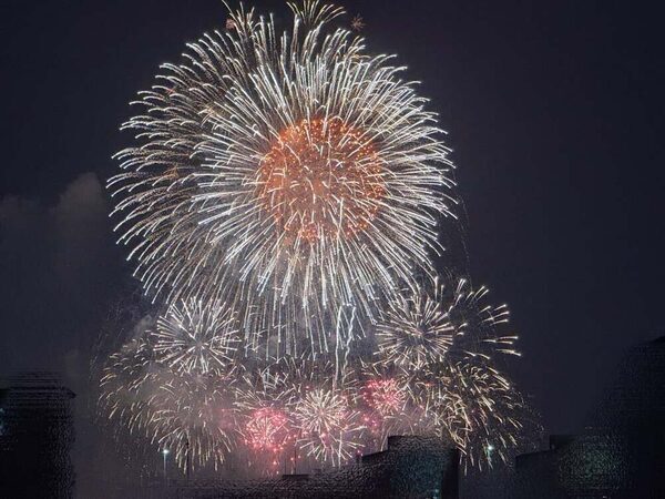 辻希美さん「我が家の次女かなり力強めです」第五子出産目前、臨月のお腹を公開！「何か感じてるのかなぁ」寄り添う愛犬