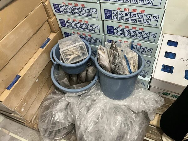 【＋1000円で満足感☆爆アゲ】池袋・サンシャイン水族館は少人数でじっくり楽しめる「探検ガイドツアー」が猛烈におすすめ！