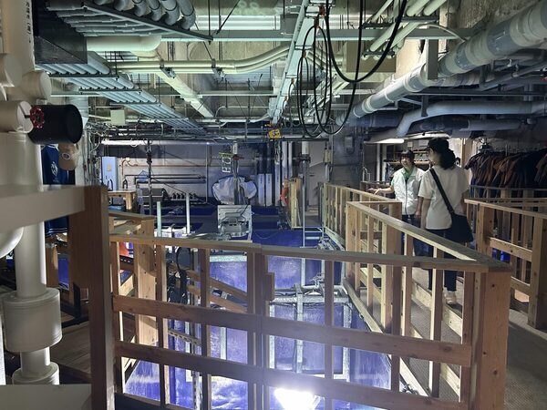 【＋1000円で満足感☆爆アゲ】池袋・サンシャイン水族館は少人数でじっくり楽しめる「探検ガイドツアー」が猛烈におすすめ！