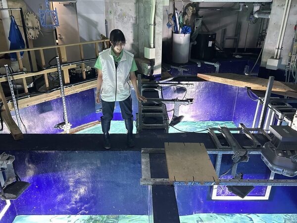 【＋1000円で満足感☆爆アゲ】池袋・サンシャイン水族館は少人数でじっくり楽しめる「探検ガイドツアー」が猛烈におすすめ！