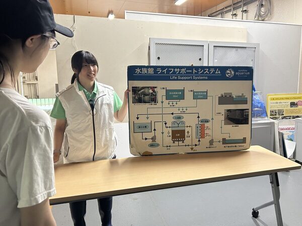 【＋1000円で満足感☆爆アゲ】池袋・サンシャイン水族館は少人数でじっくり楽しめる「探検ガイドツアー」が猛烈におすすめ！