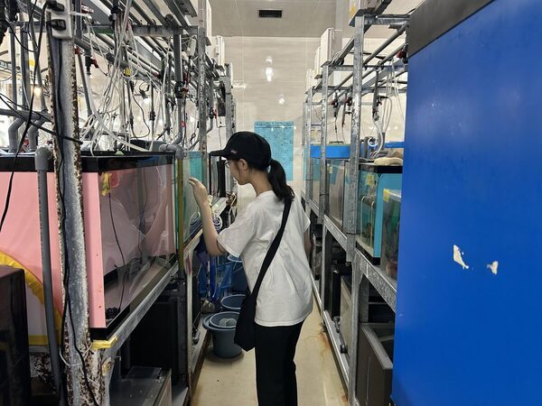 【＋1000円で満足感☆爆アゲ】池袋・サンシャイン水族館は少人数でじっくり楽しめる「探検ガイドツアー」が猛烈におすすめ！